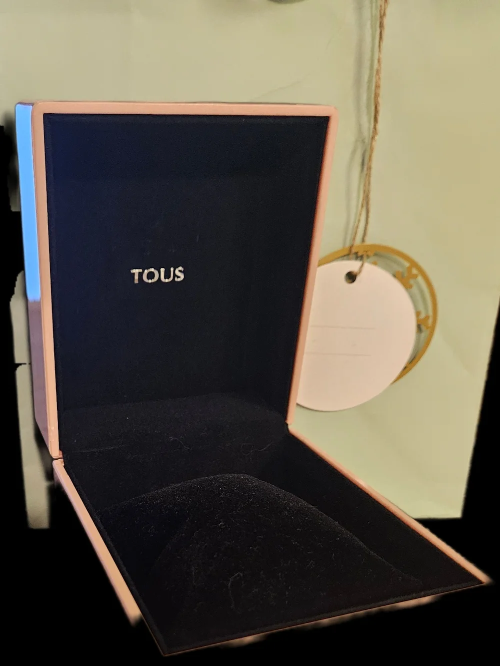 NEW Authentic TOUS Pink Watch Box Case Set Bag Pillow Booklet Complete Bundle